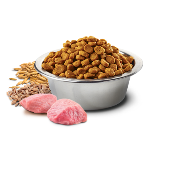 2,5кг Корм Farmina N&D Ancestral Grain Dog Lamb & Blueberry Adult Medium & Maxi низкозерновой для взрослых собак средних и крупных пород c Ягненом и черникой