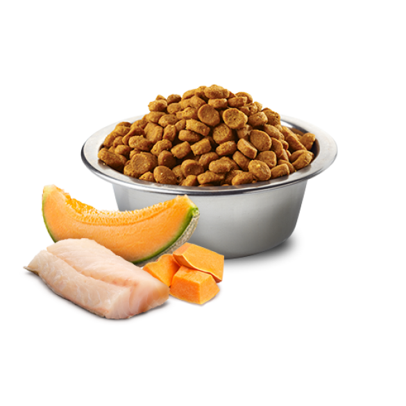 7кг Корм Farmina N&D Ocean Dog Codfish, Pumpkin & Cantaloupe Melon Puppy Mini беззерновой для щенков мелких пород с Треской, тыквой и дыней