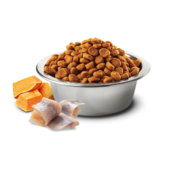 0,8кг Корм Farmina N&D Ocean Dog Codfish, Pumpkin & Orange Adult Mini беззерновой для взрослых собак мелких пород с Треской, тыквой и апельсином