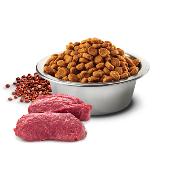 2,5кг Корм Farmina N&D Grain Free N&D Dog Quinoa Skin&Сoat Venison, coconut беззерновой для взрослых собак для кожи и шерсти с Олениной, киноа и кокосом