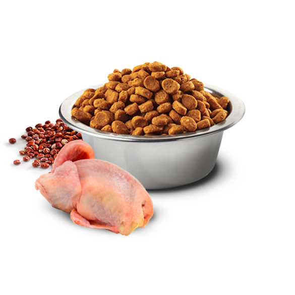 0,8кг Корм Farmina N&D Grain Free Quinoa Dog Skin & Coat Quail/Coconut беззерновой для взрослых собак для здоровья кожи и шерсти с Перепелом, кокосом и киноа