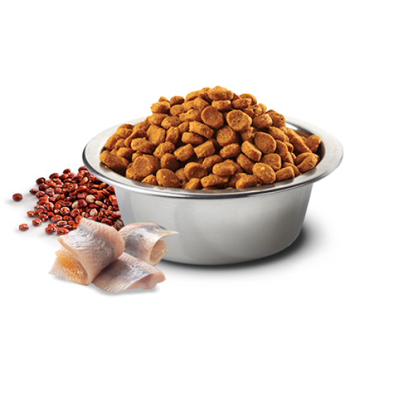 0,8кг Корм Farmina N&D Grain Free Quinoa Dog Skin & Coat Herring/Coconut беззерновой для взрослых собак для здоровья кожи и шерсти с Сельдью, киноа и кокосом