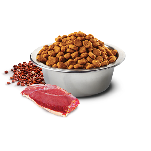 2,5кг Корм Farmina N&D Grain Free Quinoa Dog Skin & Coat Duck & Coconut беззерновой для взрослых собак для здоровья кожи и шерсти с Уткой, киноа и кокосом