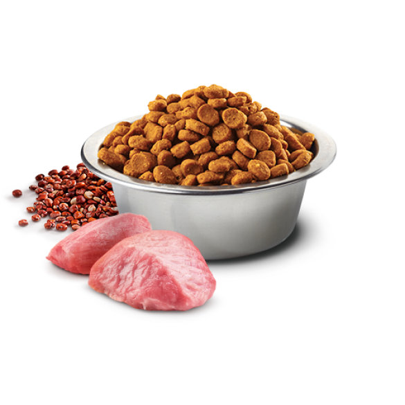 0,8кг Корм Farmina N&D Grain Free Quinoa Dog Digestion Lamb, Fennel Adult Mini беззерновой для взрослых собак мелких пород для поддержки пищеварения с Ягненком, киноа и фенхель