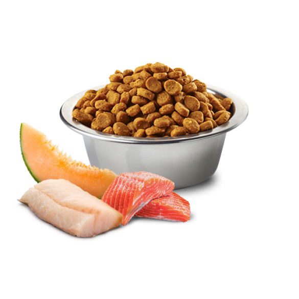 2,5кг Корм Farmina N&D Ocean Dog Salmon, Codfish & Cantaloupe Melon Adult Medium & Maxi беззерновой для взрослых собак средних и крупных пород с Лососем, треской и дыней