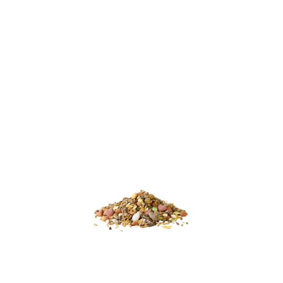 750г Корм Versele-Laga Crispy Muesli Hamster & CO для хомяков и других грызунов