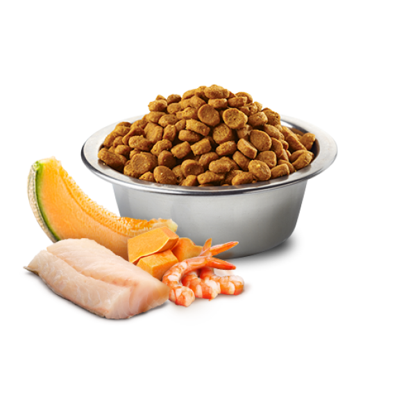 5кг Корм Farmina N&D Ocean Cat Codfish, Shrimp, Pumpkin & Cantaloupe Melon Kitten беззерновой для котят с Треской, креветками, тыквой и дыней