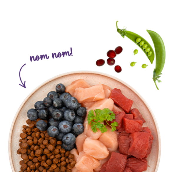 2кг Корм Bosch Sanabelle Life Adult with Ostrich & blueberries для взрослых кошек со Страусом и черникой