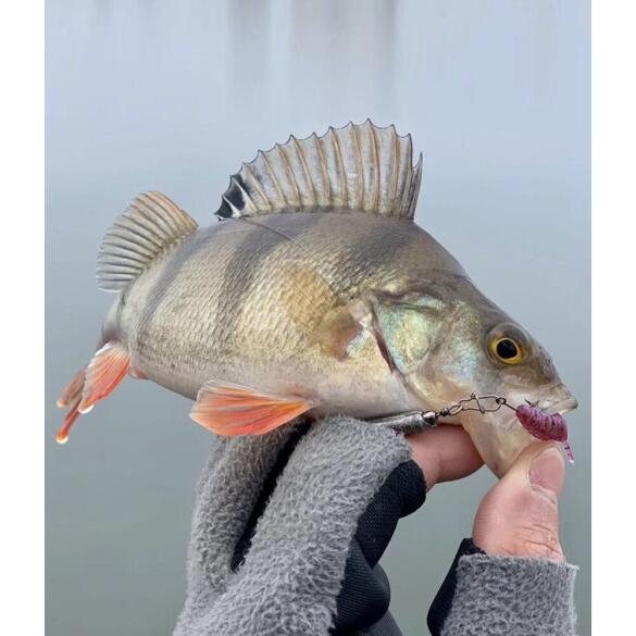 Слаги съедобные Lucky John Pro Series Ultraworm 1.4in 35мм S13 (12шт)