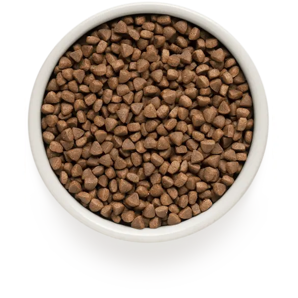 2кг Корм GRANDORF CAT Lamb&Rice INDOOR низкозерновой для взрослых кошек с ягнёнком и индейкой