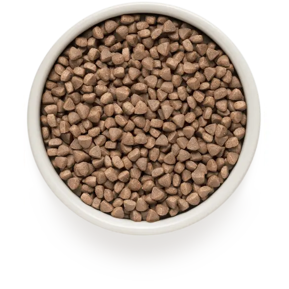 2кг Корм GRANDORF CAT White Fish&Turkey SKIN&CARE низкозерновой для кошек с белой рыбой и индейкой, забота о коже и шерсти