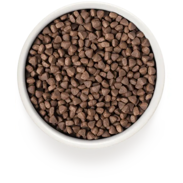 2кг Корм GRANDORF CAT Turkey&Rice STERILISED низкозерновой для стерилизованных кошек с индейкой и рисом