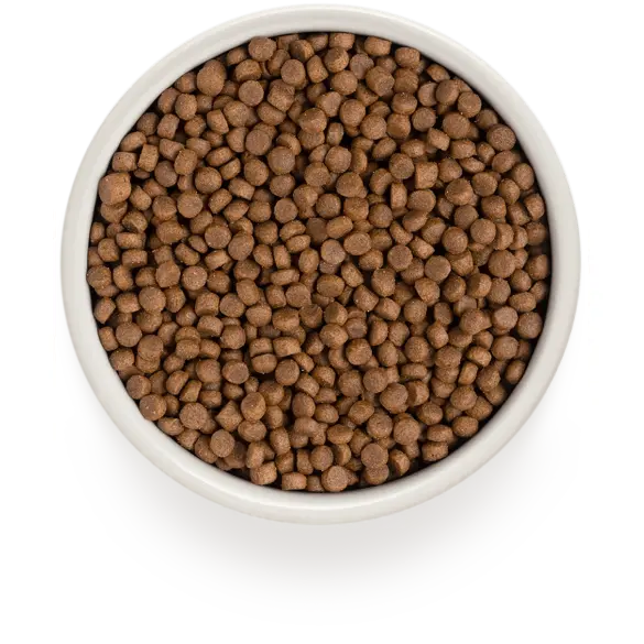 0,4кг Корм GRANDORF CAT 4 Meat PROBIOTIC INDOOR низкозерновой для кошек с пробиотиками и 4 вида мяса