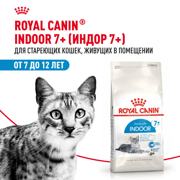 1,5кг Корм ROYAL CANIN Indoor+7 для стареющих кошек, живущих в помещении старше 7 лет (срок до 14.07.2026)