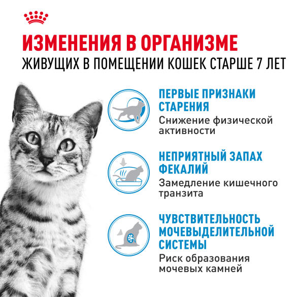 1,5кг Корм ROYAL CANIN Indoor+7 для стареющих кошек, живущих в помещении старше 7 лет (срок до 14.07.2026)