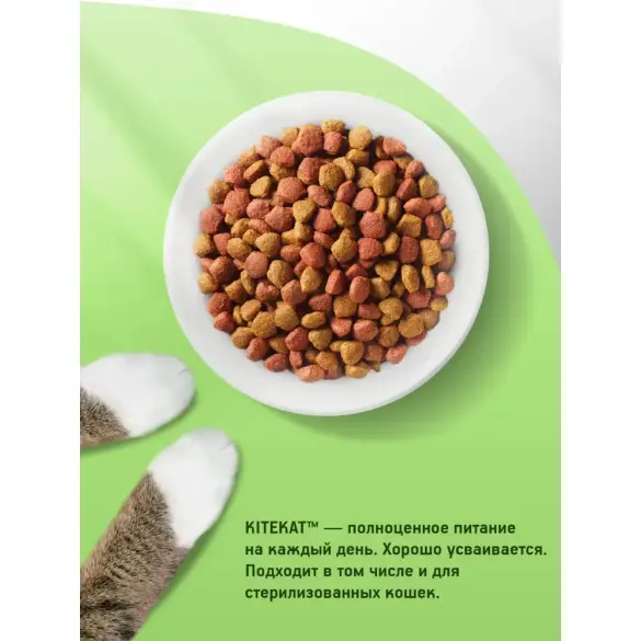 350гр Корм KITEKAT для кошек, Мясной пир