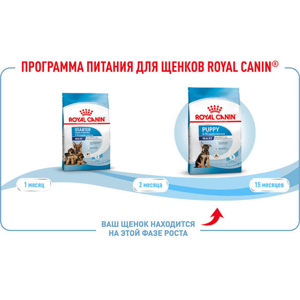 3кг Корм ROYAL CANIN Maxi Puppy для крупных щенков до 15 месяцев