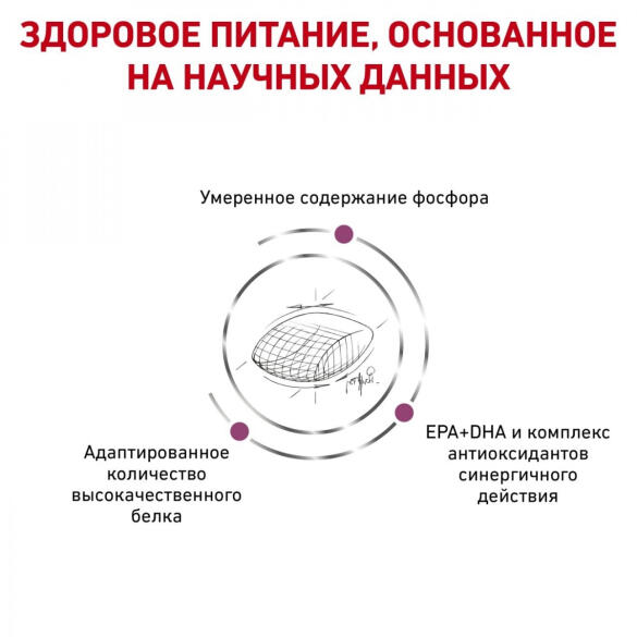 2кг Корм ROYAL CANIN Early Renal Canin диета для взрослых собак при ранней стадии почечной недостаточности