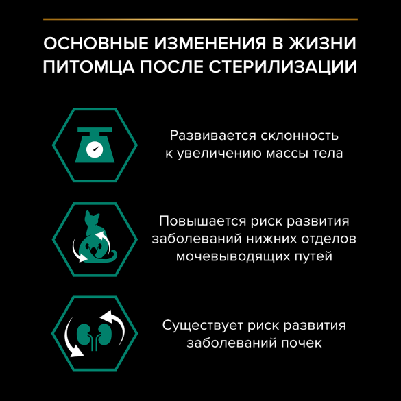 Корм в развес PRO PLAN Sterilised Renal Plus для поддержания здоровья почек у стерилизованных кошек с Индейкой, 1кг