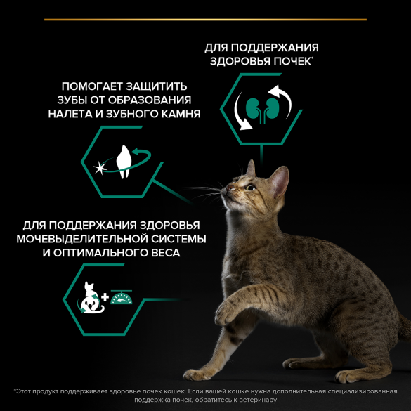 Корм в развес PRO PLAN Sterilised Renal Plus для поддержания здоровья почек у стерилизованных кошек с Индейкой, 1кг