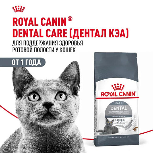 1,5кг Корм ROYAL CANIN Dental Feline диета для взрослых кошек с повышенной чувствительностью ротовой полости