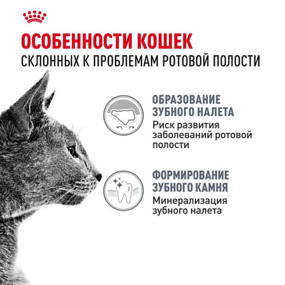 1,5кг Корм ROYAL CANIN Dental Feline диета для взрослых кошек с повышенной чувствительностью ротовой полости