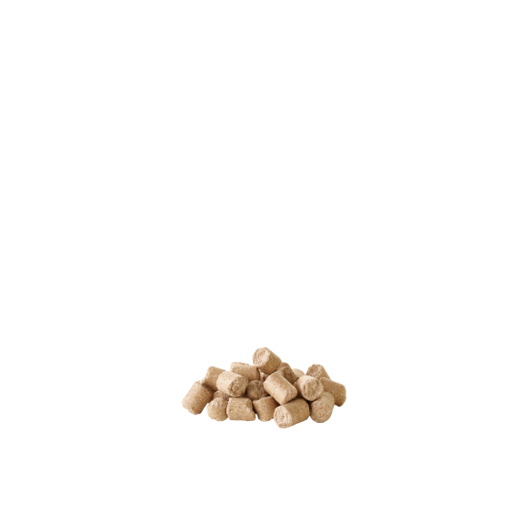 1кг Корм Versele-Laga Crispy Muesli Pellets RAT & MOUSE для Крыс и Мышей