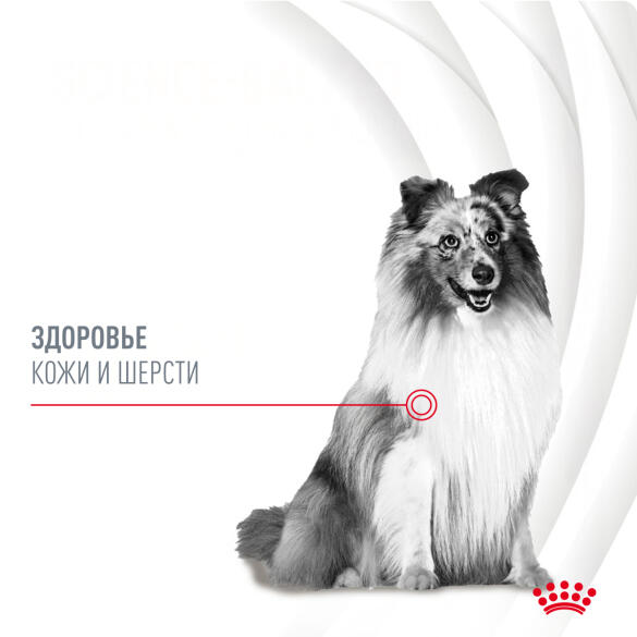 240г Лакомство Royal Canin Skin & Coat для собак с Птицей