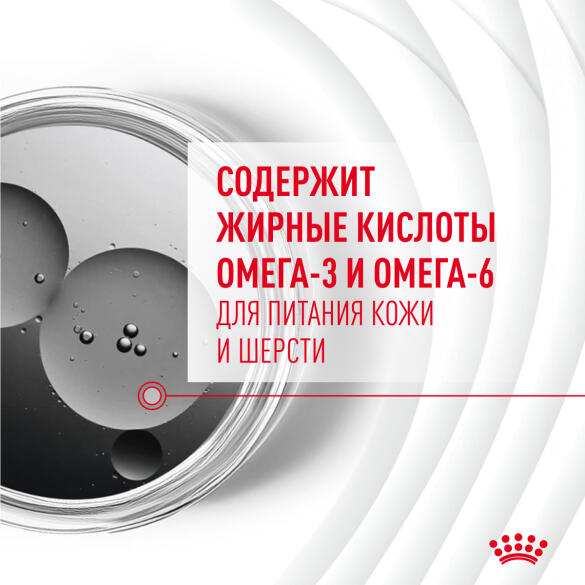 240г Лакомство Royal Canin Skin & Coat для собак с Птицей