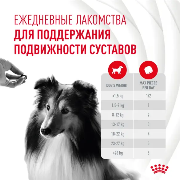 240г Лакомство Royal Canin Skin & Coat для собак с Птицей