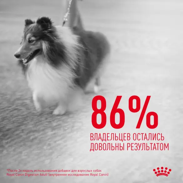 240г Лакомство Royal Canin Skin & Coat для собак с Птицей