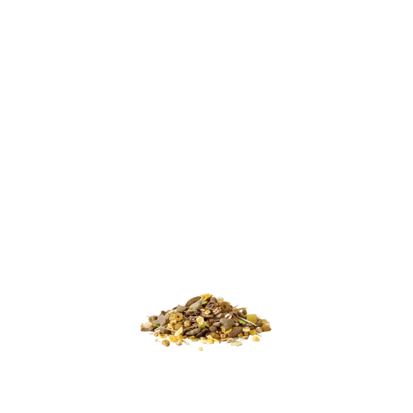 550г Корм Versele-Laga Crispy Snack Popcorn для Кроликов и Грызунов