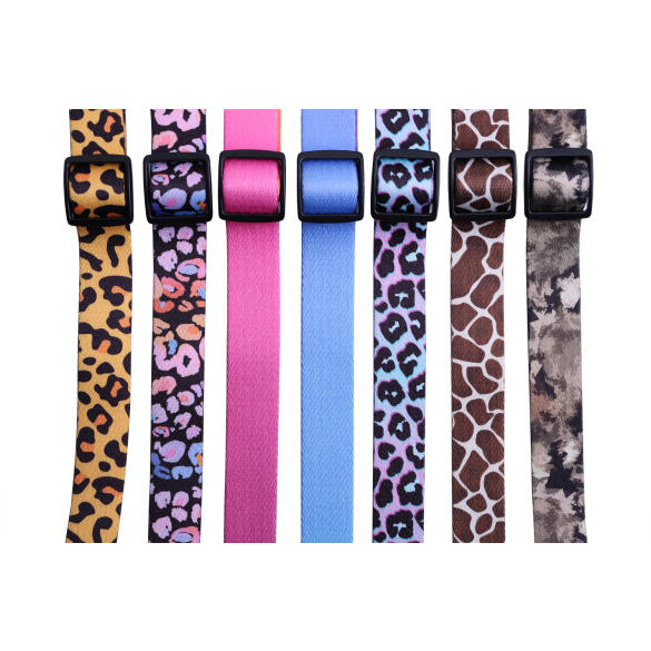 Ошейник LionPets для собак с рисунком из полиэстера S, 25-40*2см