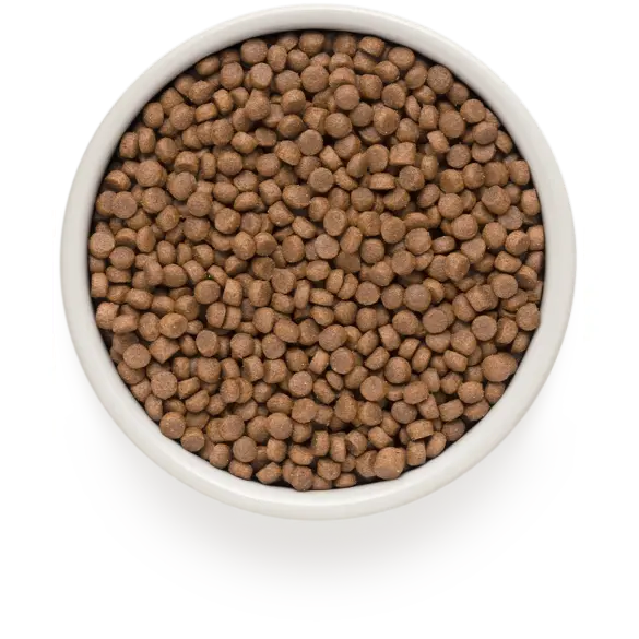 8кг Корм GRANDORF CAT 4 Meat PROBIOTIC STERILISED низкозерновой для стерилизованных кошек с пробиотиками и 4 вида мяса