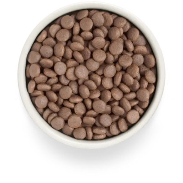 3кг Корм GRANDORF DOG Fresh Turkey&Sweet Potato Adult Medium & Maxi для взрослых собак средних и крупных пород с Индейкой и бататом