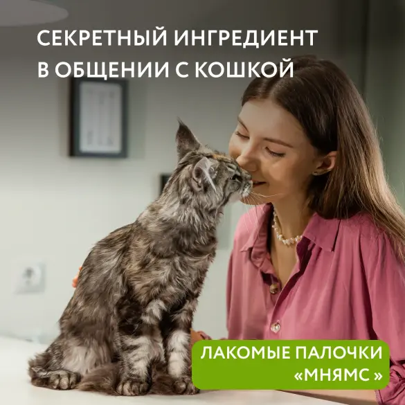 5г*3шт Лакомство Мнямс для кошек Лакомые палочки с Уткой и Кроликом