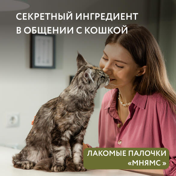 5г*3шт Лакомство Мнямс для кошек Лакомые палочки из Цыпленка и Утки