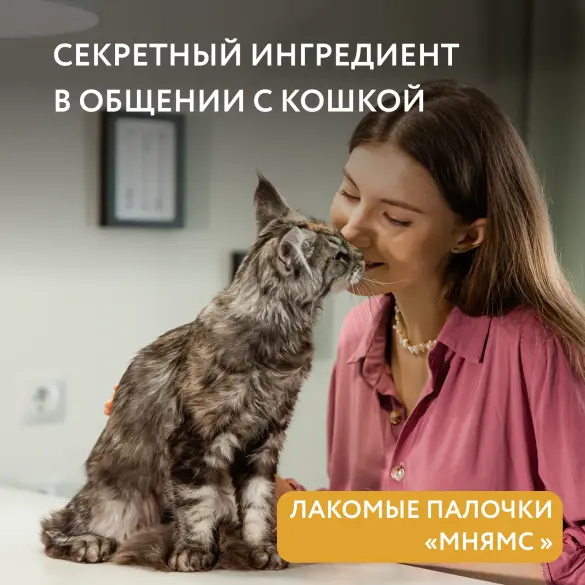 5г*3шт Лакомство Мнямс для кошек Лакомые палочки из Цыпленка и Печени