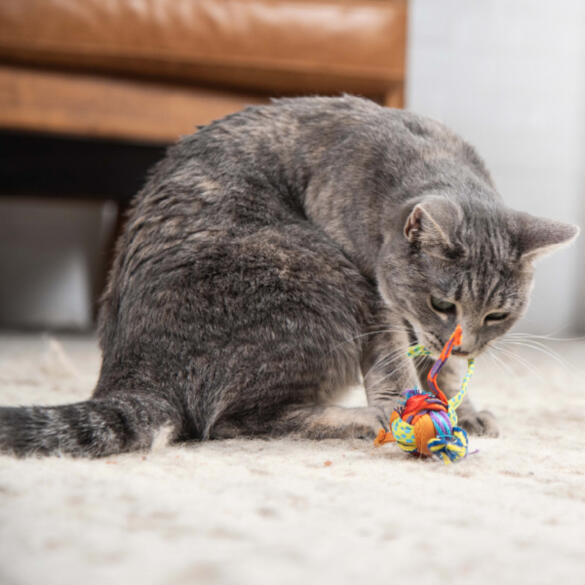Игрушка Catstages Dental для кошек Мяч с хвостиками c кошачьей мятой, 3,5см