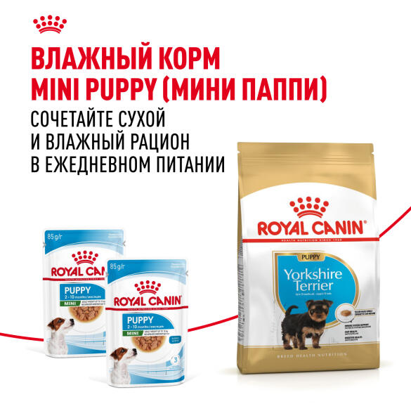 1,5кг Корм ROYAL CANIN Yorkshire Puppy для щенков породы Йоркширский Терьер до 10 месяцев (срок до 02.10.2026)