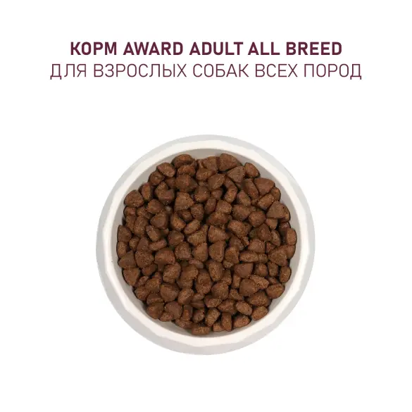 1+1 2кг Корм Award для взрослых собак всех пород с Ягненком и Индейкой с добавлением яблока и черники