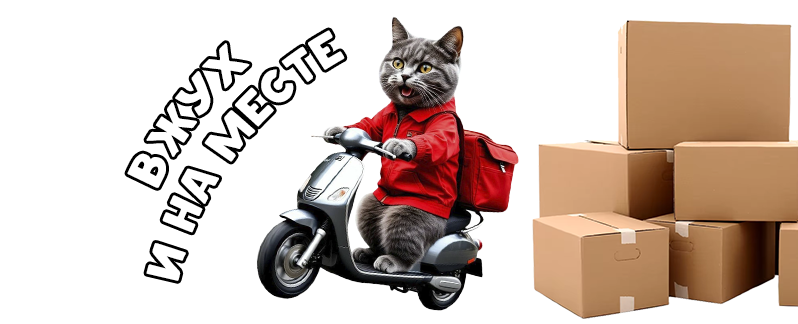 Вечерняя доставка! Жми, чтобы узнать подробнее