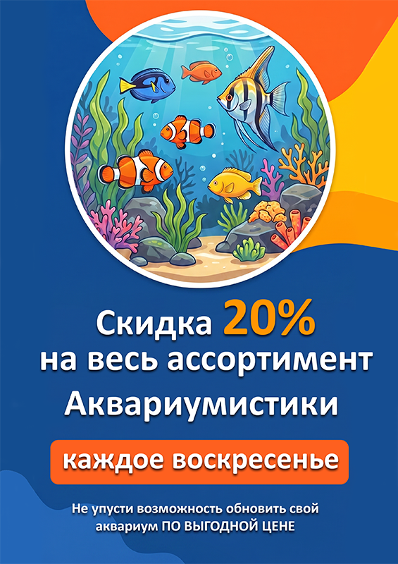 КАЖДОЕ