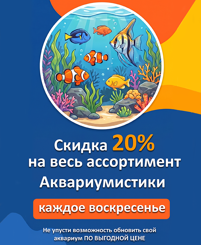 КАЖДОЕ