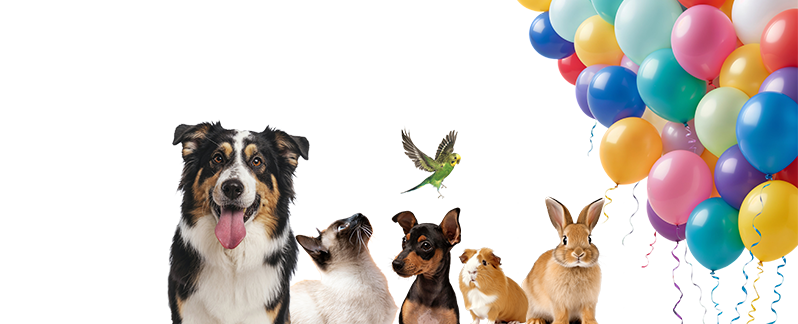 3 ФЕВРАЛЯ
