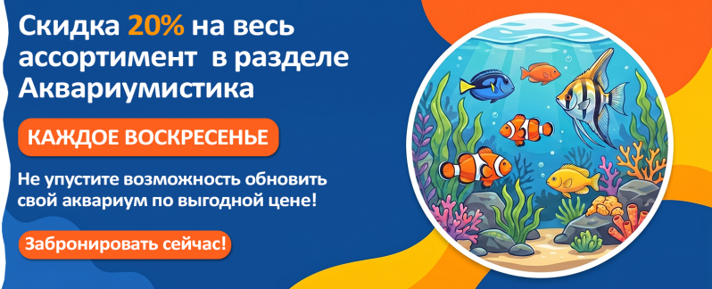 КАЖДОЕ