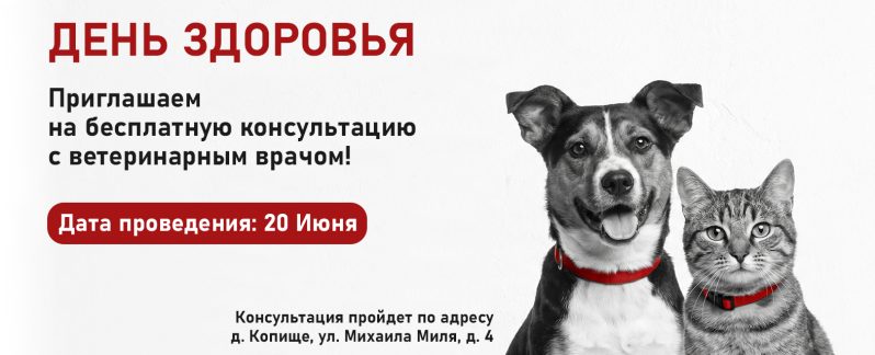 КЛИКАЙ 🐾