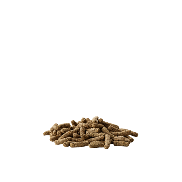 500гр Корм Versele-Laga Cavia Complete для Морских Свинок