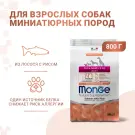 0,8кг Корм Monge Dog Extra Small Salmon/Rice для взрослых собак миниатюрных пород c Лососем и рисом