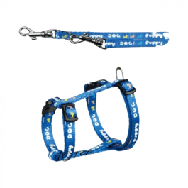 Комплект "Classic",  шлея и поводок, р-р 1.0*120 см